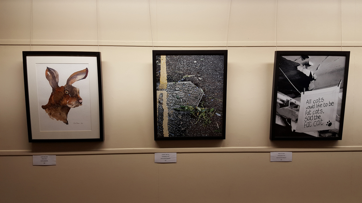 MJC-exhibition-5.jpg