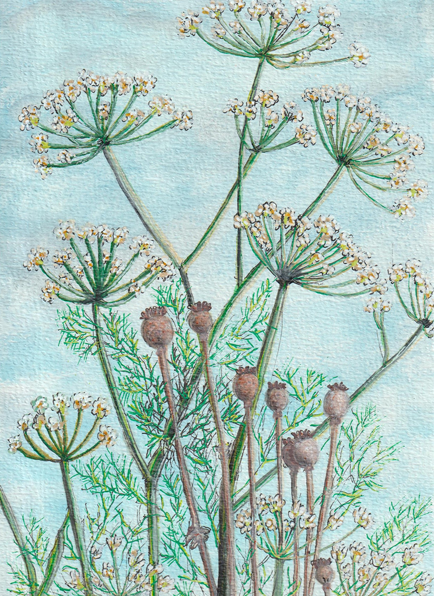 Sue-Holmes-Fennel-and-Poppy-1.jpg